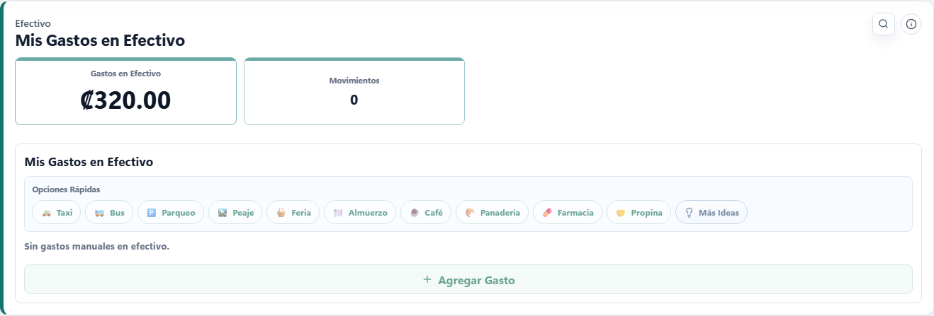 Pantalla de Mis Gastos en Efectivo