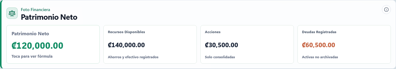 Pantalla de Patrimonio Neto